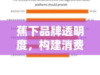 蕉下品牌透明度，構(gòu)建消費者信任的深度探討