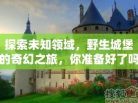 探索未知領(lǐng)域，野生城堡的奇幻之旅，你準(zhǔn)備好了嗎？