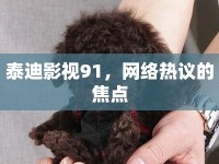泰迪影視91，網(wǎng)絡(luò)熱議的焦點(diǎn)
