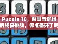 Puzzle 10，智慧與邏輯的終極挑戰(zhàn)，你準備好了嗎？