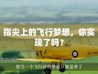 指尖上的飛行夢想，你實現(xiàn)了嗎？