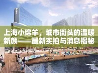 上海小綿羊，城市街頭的溫暖新顏——最新實(shí)拍與消息揭秘