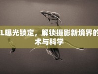 AEL曝光鎖定，解鎖攝影新境界的藝術與科學
