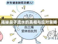 揭秘鼻子流水的真相與應(yīng)對策略