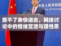 受不了親快進(jìn)去，網(wǎng)絡(luò)討論中的情緒宣泄與理性思考