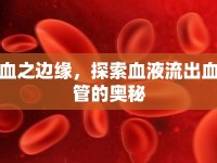 血之邊緣，探索血液流出血管的奧秘