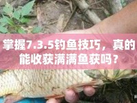 掌握7.3.5釣魚(yú)技巧，真的能收獲滿滿魚(yú)獲嗎？