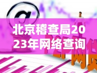 北京稽查局2023年網(wǎng)絡(luò)查詢指南，透明執(zhí)法，守護(hù)首都經(jīng)濟(jì)安全