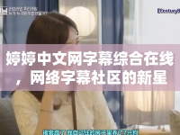 婷婷中文網(wǎng)字幕綜合在線，網(wǎng)絡(luò)字幕社區(qū)的新星