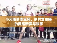 小河南的麥克風，鄉(xiāng)村女主播的網絡新聲與故事