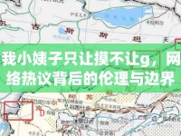 我小姨子只讓摸不讓g，網(wǎng)絡(luò)熱議背后的倫理與邊界