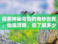 探索神秘鳥類的奇妙世界，仙禽攻略，你了解多少？