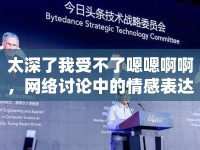 太深了我受不了嗯嗯啊啊，網(wǎng)絡(luò)討論中的情感表達(dá)與邊界探討