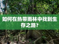 如何在熱帶雨林中找到生存之路？