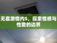無套激情內(nèi)S，探索情感與性愛的邊界