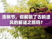 清明節(jié)，你解鎖了古韻遺風(fēng)的解謎之旅嗎？