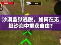 沙漠監(jiān)獄逃脫，如何在無垠沙海中重獲自由？