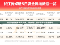 長江傳媒資金流向分析，資金流入流出背后的市場動態(tài)