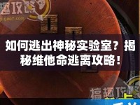 如何逃出神秘實(shí)驗(yàn)室？揭秘維他命逃離攻略！