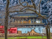 死神覺醒手游公益服，如何開啟無限可能的冒險(xiǎn)之旅？