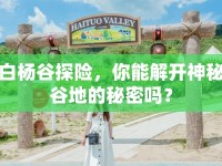 白楊谷探險(xiǎn)，你能解開(kāi)神秘谷地的秘密嗎？