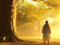 JAPONENSIS 19-21：你了解它的秘密嗎？它如何改變你的生活？