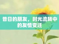 昔日的朋友，時(shí)光流轉(zhuǎn)中的友情變遷