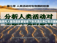 自然與人類活動(dòng)雙重影響下的河流出?？谧冞w奧秘