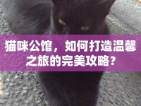 貓咪公館，如何打造溫馨之旅的完美攻略？
