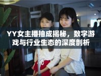 YY女主播抽成揭秘，數(shù)字游戲與行業(yè)生態(tài)的深度剖析