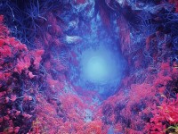 貪玩藍月手游道士，神秘職業(yè)如何帶你探尋未知世界？