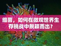 細(xì)菌，如何在微觀世界生存挑戰(zhàn)中脫穎而出？