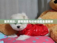 寶貝狗比，最新消息與價(jià)格動態(tài)全面解析