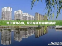 哈爾濱湖心路，城市綠脈的璀璨新篇章