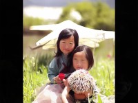 如何實現(xiàn)‘天天爽夜夜爽’？揭秘全方位極致生活體驗！