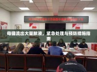 母貓流出大量膿液，緊急處理與預(yù)防措施指南