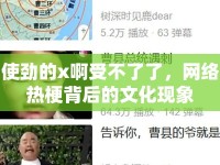 使勁的x啊受不了了，網(wǎng)絡(luò)熱梗背后的文化現(xiàn)象