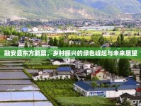 融安縣東方新篇，鄉(xiāng)村振興的綠色崛起與未來展望