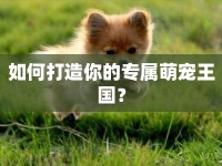 如何打造你的專屬萌寵王國？