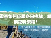 霜害如何征服冬日挑戰(zhàn)，解鎖獨(dú)特榮耀？