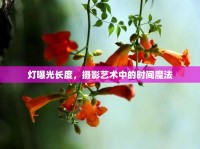 燈曝光長度，攝影藝術中的時間魔法