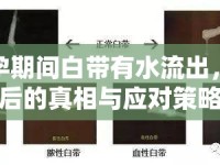 懷孕期間白帶有水流出，背后的真相與應(yīng)對(duì)策略