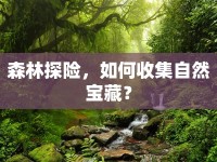 森林探險(xiǎn)，如何收集自然寶藏？