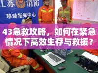 43急救攻略，如何在緊急情況下高效生存與救援？
