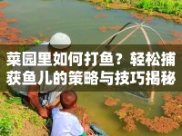 菜園里如何打魚？輕松捕獲魚兒的策略與技巧揭秘！
