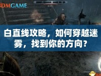 白直線攻略，如何穿越迷霧，找到你的方向？