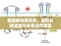 癌細(xì)胞轉(zhuǎn)移機(jī)制，最新科研進(jìn)展與未來(lái)治療展望
