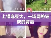 上錯麻豆大，一場網絡狂歡的背后