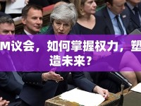 M議會(huì)，如何掌握權(quán)力，塑造未來？