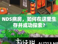 NDS病房，如何在這里生存并成功探索？